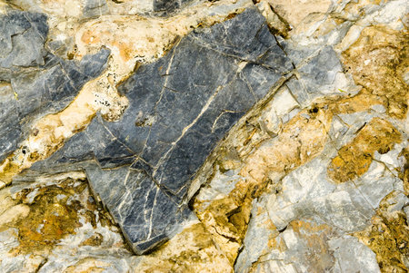 Macro view of colorful patterns on exposed rock in Glacier National Park