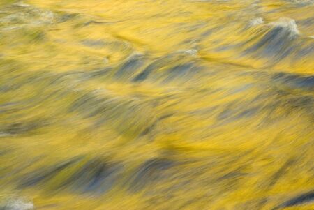 Fall colors reflecting in the flowing waters of  Spearfish Creek in the Black Hills of South Dakotaの写真素材