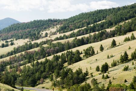 View of trees and hillside along Chief Joseph Scenic Byway in Wyoming.の写真素材