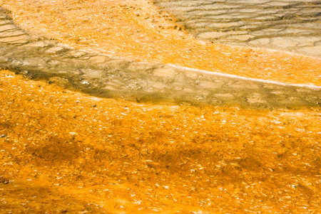 colorful abstract patterns in a thermal pool in the geyser basins of Yellowstone National Parkの写真素材