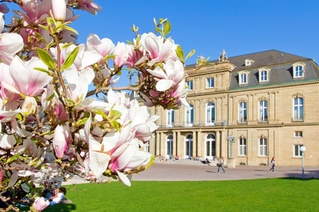 Castle of Stuttgart, Germany, in springのeditorial素材