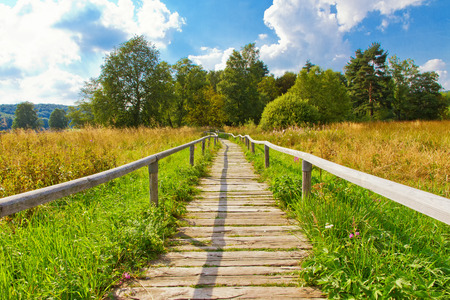 Footpath in nature near Schopfloch, Germanyの写真素材