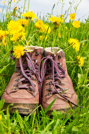 Walking boots on a flower fieldの写真素材