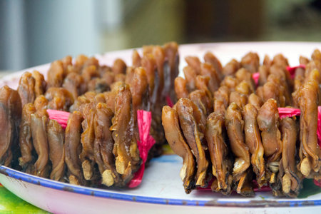 Dried Oystersの写真素材