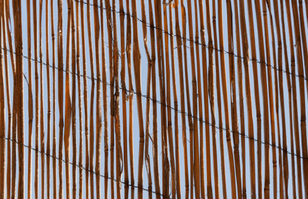 Thatched shade roof vertical stripes texture background 