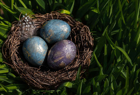 Happy Easter 2022. A postcard with a copy of the place for the text. Purple, blue and golden eggs in a nest on a natural forest background. top view.の写真素材