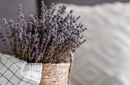 Provence. A wicker basket with a bouquet of lavender in the living room interior close-up. The concept of home comfort and decor in the interior.の写真素材