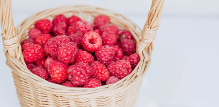 A small wicker basket with fresh raspberries on a white isolated background. A beautiful ripe summer berry.の写真素材