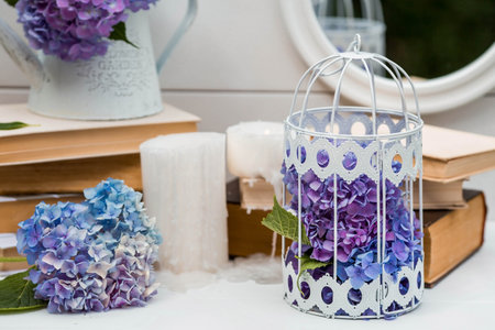 Blue hydrangea in a decorative cage, books and candles on a white background.の写真素材