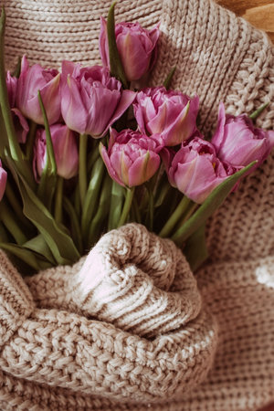 Mother's Day or International Women's Day. Knitted warm sweater with pink tulips on the coffee table...
