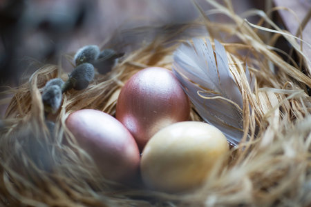 Pink and yellow Easter eggs in nest on wooden background. Minimal easter concept. Easter card with...