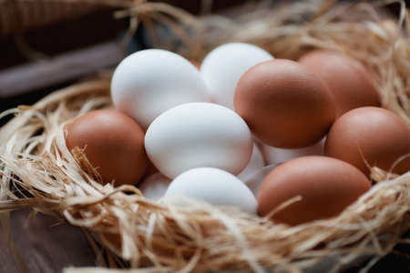 Easter eggs in the form of a rabbit in the hands of the girl. The concept of a happy bright Easter.の写真素材