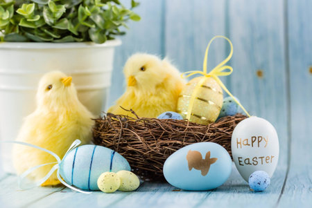 Blue, yellow, white eggs in the nest and yellow chicks on a blue wooden background. The minimal...
