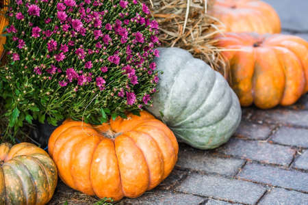 Decorative pumpkins from the Golden autumn festival in Moscow, near red square, the Kremlin. Halloween decor with various pumpkins, autumn vegetables and flowers. Harvest and garden decoration.の写真素材