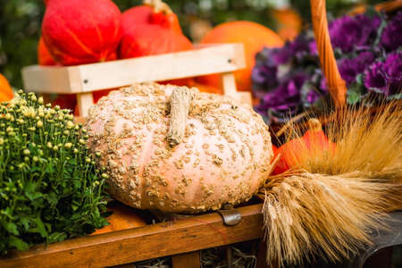 Decorative pumpkins from the Golden autumn festival in Moscow, near red square, the Kremlin. Halloween decor with various pumpkins, autumn vegetables and flowers. Harvest and garden decoration.の写真素材