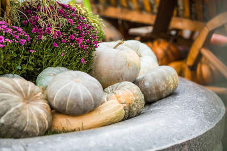 Decorative pumpkins from the Golden autumn festival in Moscow, near red square, the Kremlin. Halloween decor with various pumpkins, autumn vegetables and flowers. Harvest and garden decoration.の写真素材