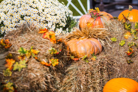 Decorative pumpkins from the Golden autumn festival in Moscow, near red square, the Kremlin. Halloween decor with various pumpkins, autumn vegetables and flowers. Harvest and garden decoration.の写真素材