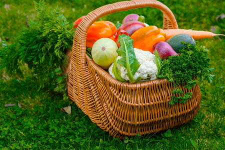 A wicker basket full of fresh raw vegetables. Basket of vegetables (cauliflower, carrots, cucumbers, tomatoes, zucchini, peppers, garlic and onions) on a green lawn. Autumn crop, gather or harvest.の写真素材