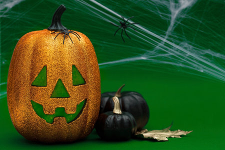 Modern postcard for a Halloween party. Pumpkin Jack, black pumpkins, cobwebs, spiders on a trendy green background. Banner with copy space for text.の写真素材