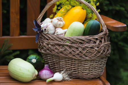 harvesting. Vegetables. Garlic, cucumbers, zucchini from the garden. A wicker basket with vegetables on a wooden bench.の写真素材