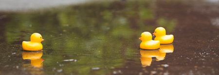 Summer season, the concept of a children's game. A small rubber yellow duck is swimming in the water. Toy close-up. A symbol of swimming, childhood, friendship, fun game.の写真素材