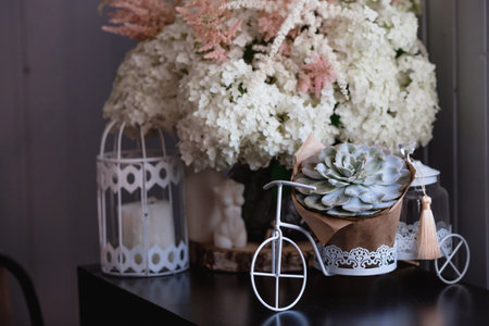 A succulent on a decorative bicycle and a bouquet of white hydrangeas and astilba. Interior in Provence style. A concept for a flower shop or home comfort and decor in the house.の写真素材