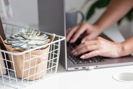 The hands of a freelance woman sitting in a home office with a laptop and a smartphone. A woman works at home. The beginning of the working day. The concept of human resource managementの写真素材