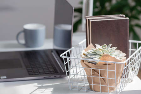 Freelance. The office is in bright colors. A white table with a laptop, books, a mug, a flower and a phone. work at home. The beginning of the working day. The concept of the interiorの写真素材