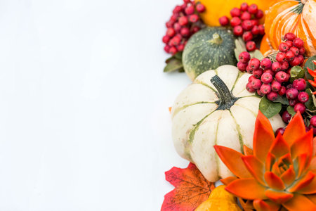 thanksgiving day. Autumn background of colorful, decorative pumpkins, flowers and berries of mountain ash and succulents. A rich harvest. The concept of the Halloween holiday.の写真素材