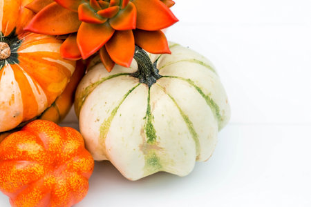 thanksgiving day. Autumn background of colorful, decorative pumpkins, flowers and berries of...