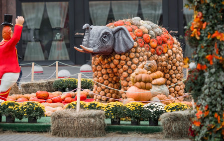 Decorative pumpkins from the Golden autumn festival in Moscow, near red square, the Kremlin. Halloween decor with various pumpkins, autumn vegetables and flowers. Harvest and gardeの写真素材