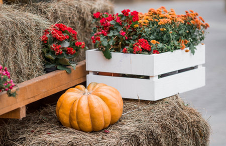 Decorative pumpkins from the Golden autumn festival in Moscow, near red square, the Kremlin....