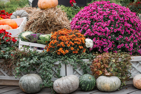 Decorative pumpkins from the Golden autumn festival in Moscow, near red square, the Kremlin. Halloween decor with various pumpkins, autumn vegetables and flowers. Harvest and gardeの写真素材