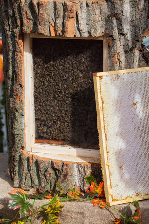 bee hive. Lots of bees. Autumn honey fair in Moscow.