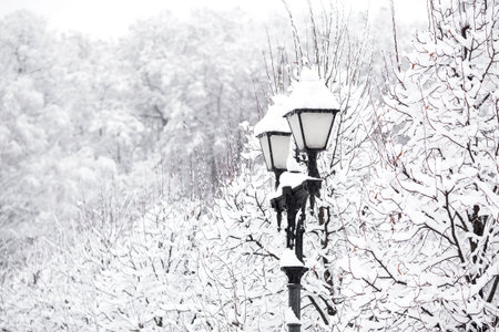 winter landscape. Tsaritsyno Park on a snowy day. Trees in the snow. There are snowdrifts all...