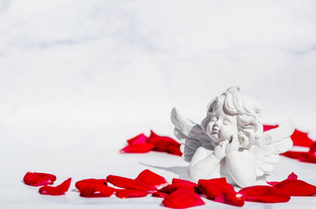 Cute angel and red rose petals on a white marble background. Theme of love. Valentine's day....