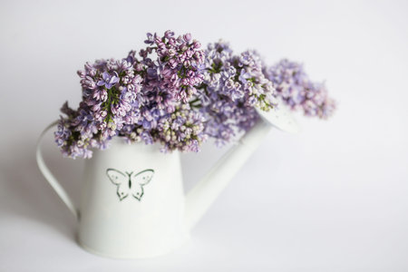 Beautiful bouquet of lilac in white watering can for background or copy space for text.