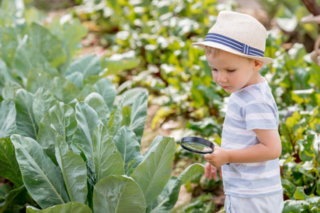 Summer holidays. A small child in a hat looks at the leaves with a magnifying glass. A preschool boy studies nature with a magnifying glass. Education, excursions, research concept.の写真素材