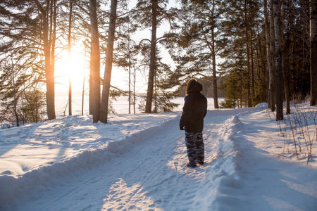 Beautiful winter landscape with pine trees, snow, blue sky and sun. A man walking on a snowy road at sunset. Walking in the fresh air. Republic of Kareliaの写真素材