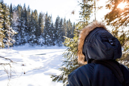 Beautiful winter landscape with pine trees, snow, blue sky and sun. A man in the forests of Karelia. A walk in the fresh air. Republic of Kareliaの写真素材