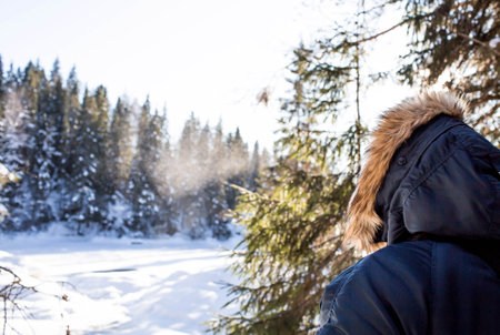 Beautiful winter landscape with pine trees, snow, blue sky and sun. A man in the forests of Karelia. A walk in the fresh air. Republic of Kareliaの写真素材