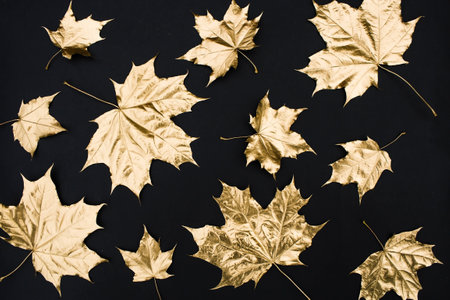 modern autumn background. Golden maple leaves on a black background. Golden autumn. Flat lay, top view, copy space.の写真素材