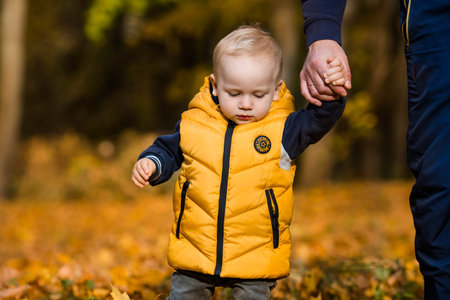 Cute little boy walks hand in hand with his father outdoors. Happy child walks in the autumn Park. Baby boy wears a fashionable jacket and jeans. Portrait of a fair-haired boy. Child safety.の写真素材