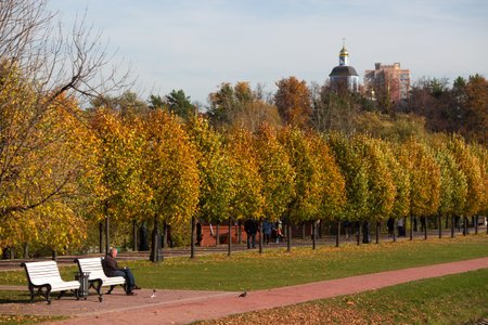 Autumn park in museum-reserve Tsaritsyno, Russia, Moscow, octoberのeditorial素材