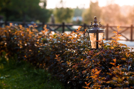 Handmade iron and glass street lamp and flowers in the park at sunset. street lighting.の写真素材