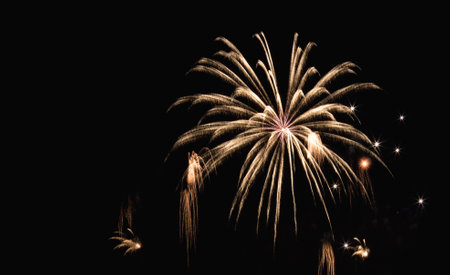 Bright colorful fireworks on the background of the black night sky. Salute celebration. Bright lights.の写真素材