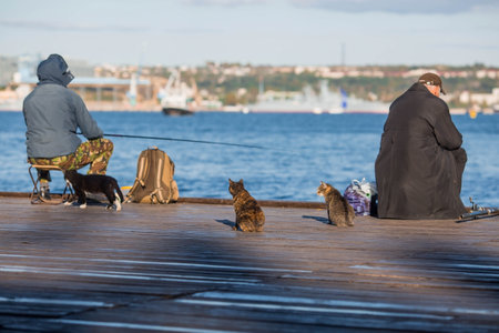 Fishermen on the Grafskaya pier of Sevastopol at sunset. Cats are waiting for a catch to eat fish. Russia, Crimeaのeditorial素材