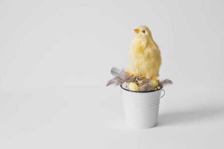 Banner. The concept of the holiday. Easter quail eggs in a white iron bucket and yellow chickens on a white isolated background. Beautiful Easter card.の写真素材