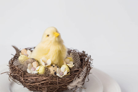 Banner. The concept of a bright Easter holiday. Yellow chickens, feathers and Easter quail eggs in a...