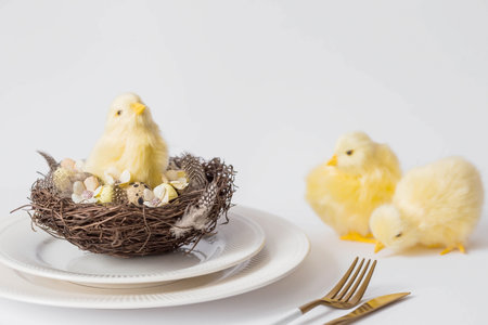 Banner. The concept of a bright Easter holiday. Yellow chickens, feathers and Easter quail eggs in a...